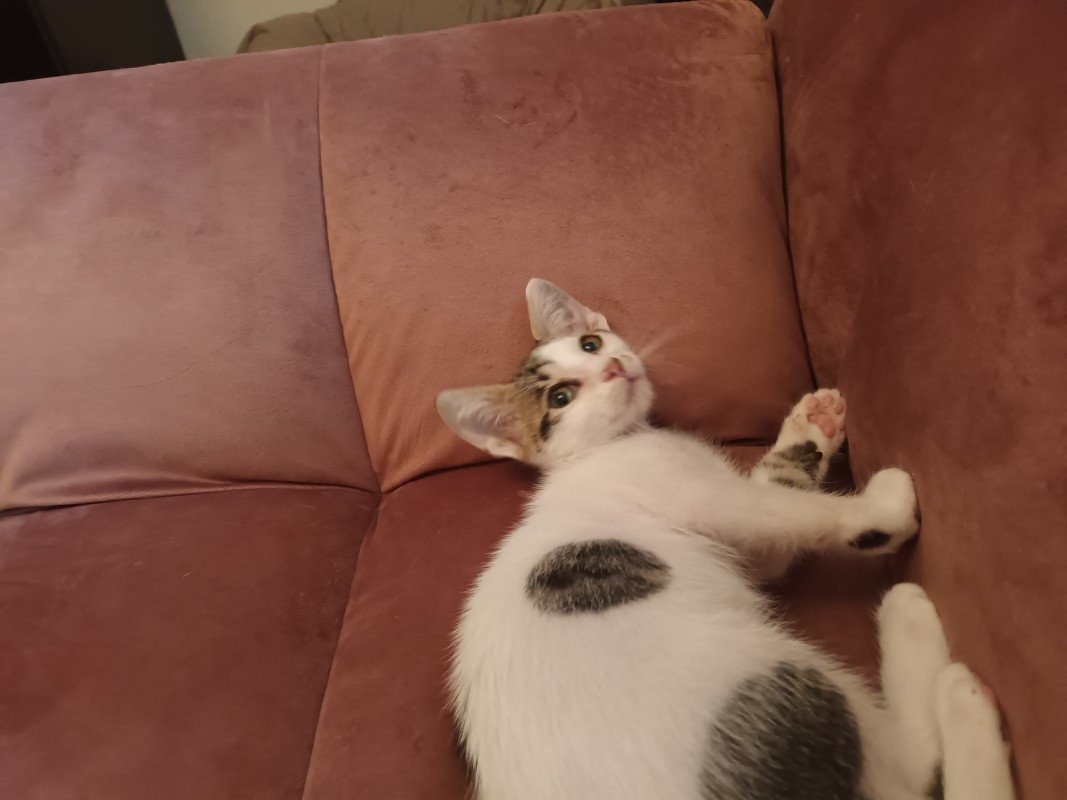Charlie