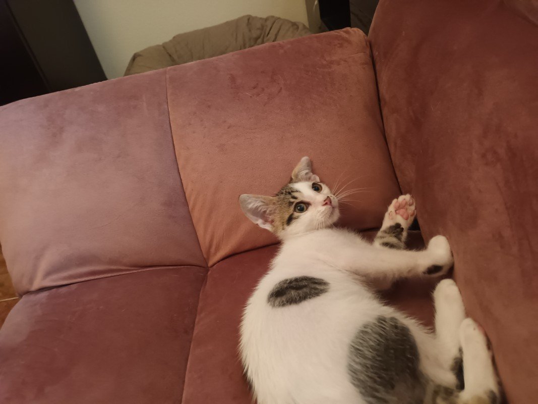 Charlie