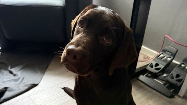 Mila