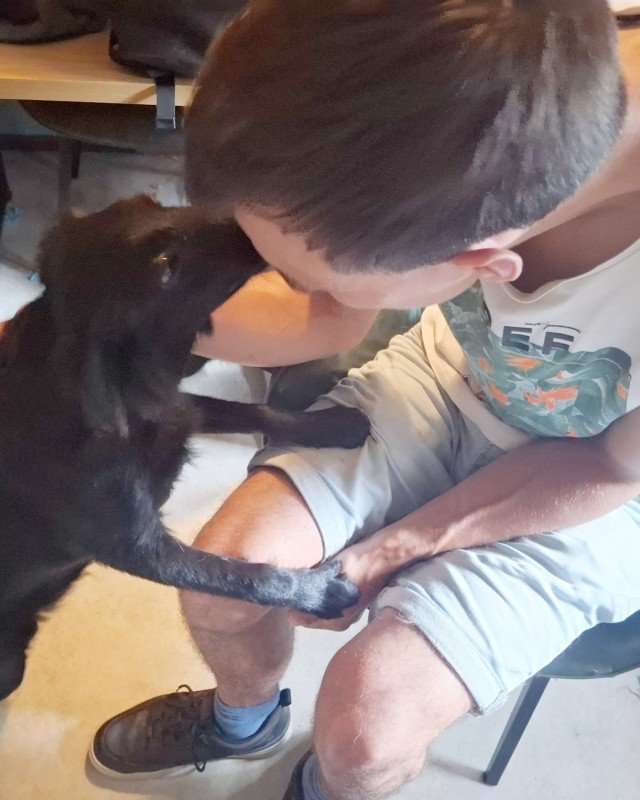 Zorro