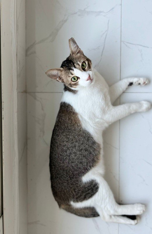 Pablo