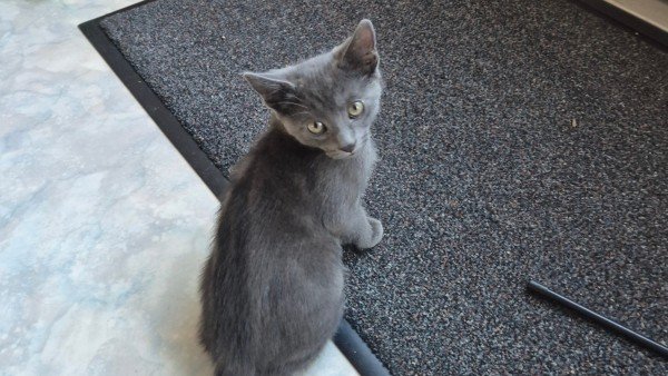 Charlie