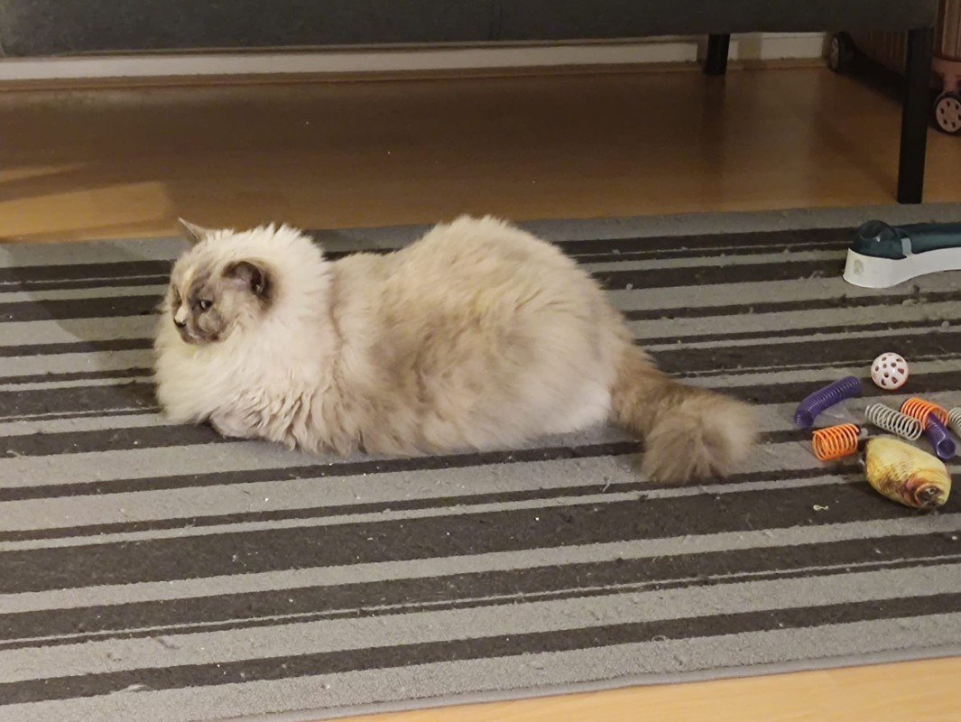 Nala