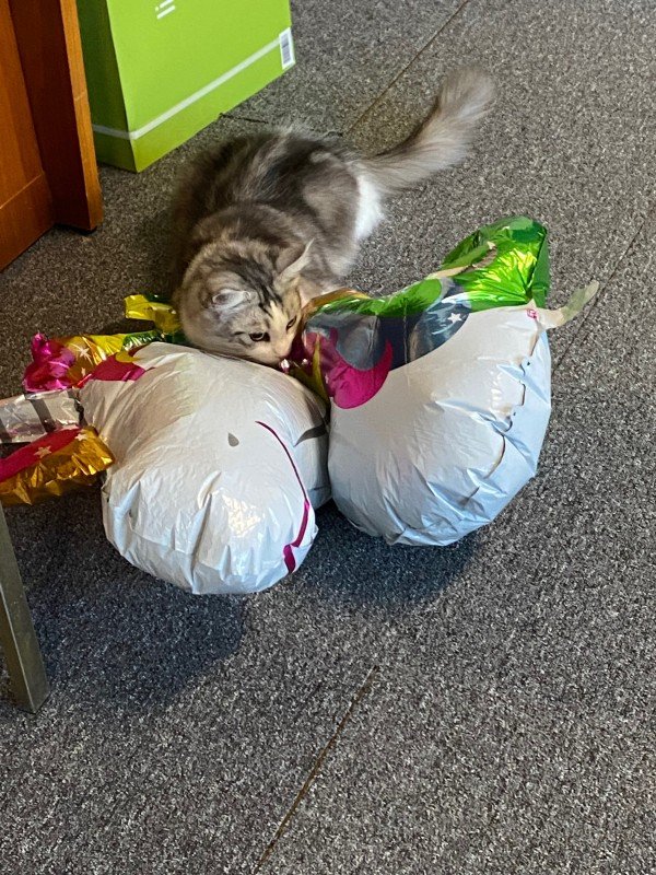 Nala
