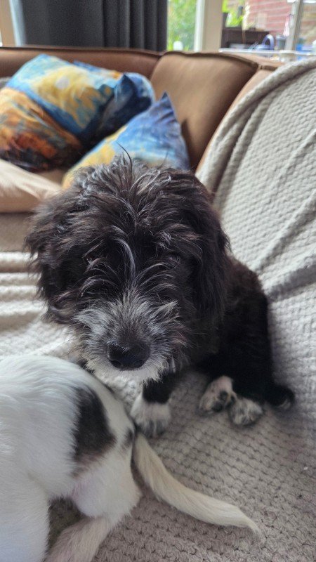 Murphy