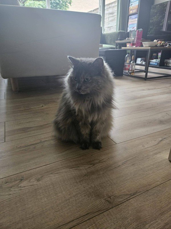 Mia