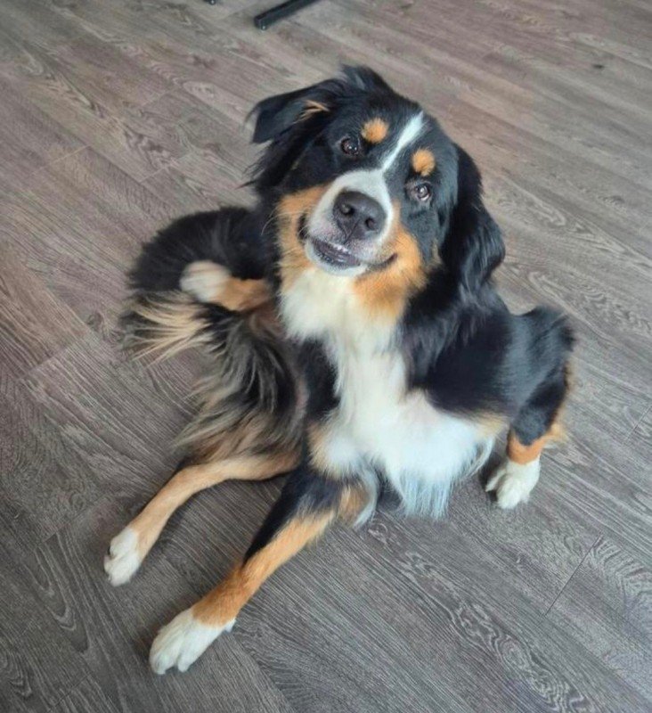 Luna
