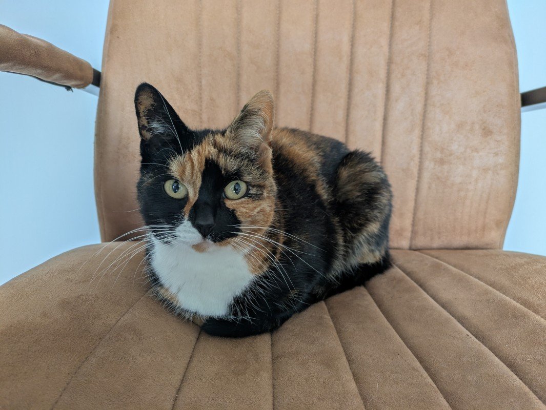 Boopie