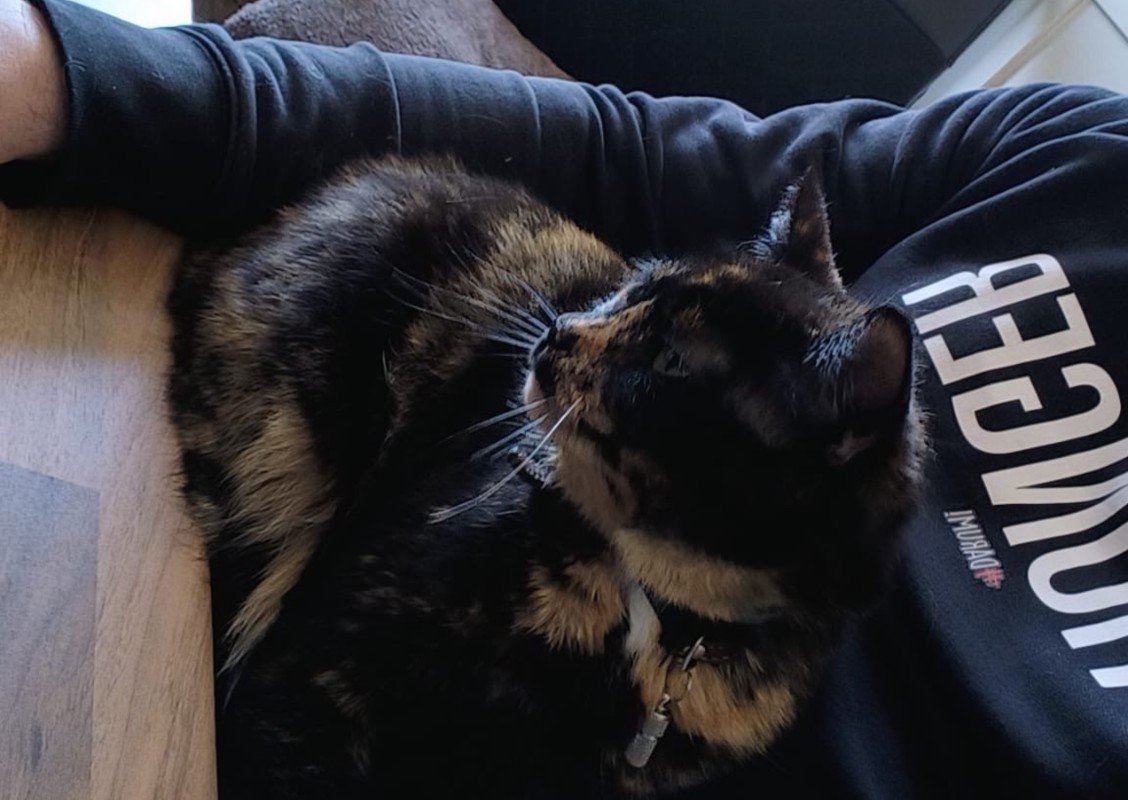 Muis