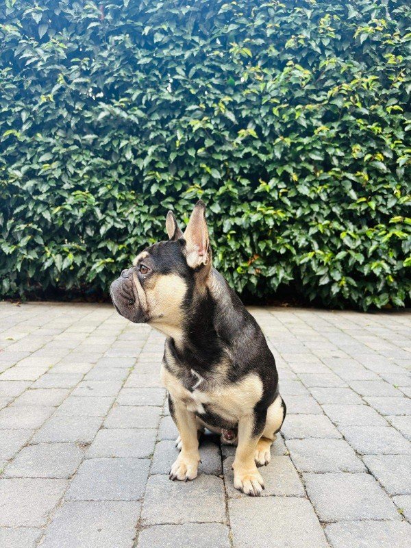 Charlie