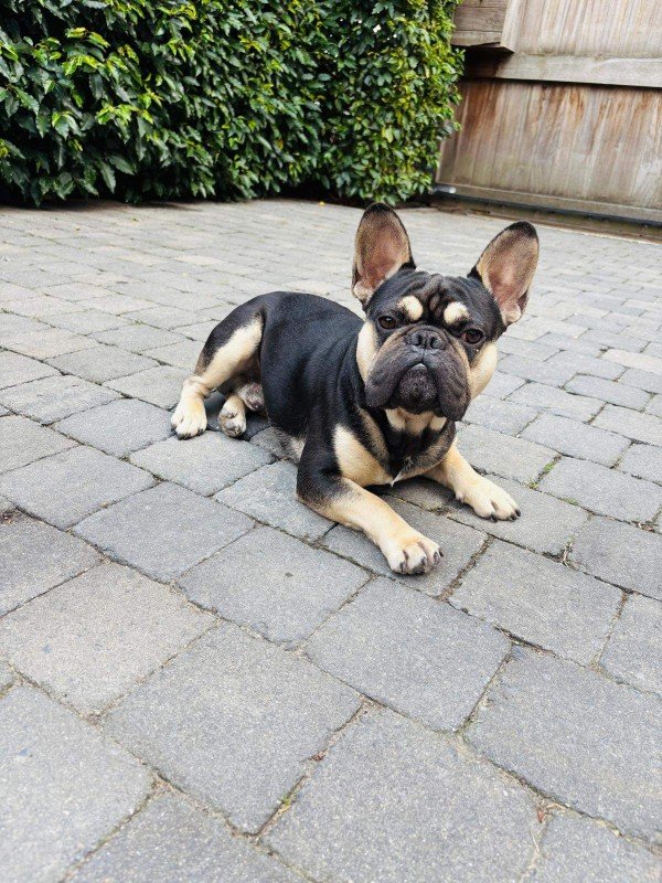 Charlie