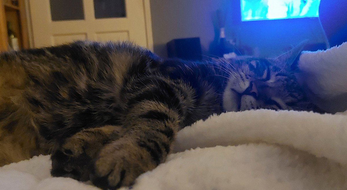 Fritz