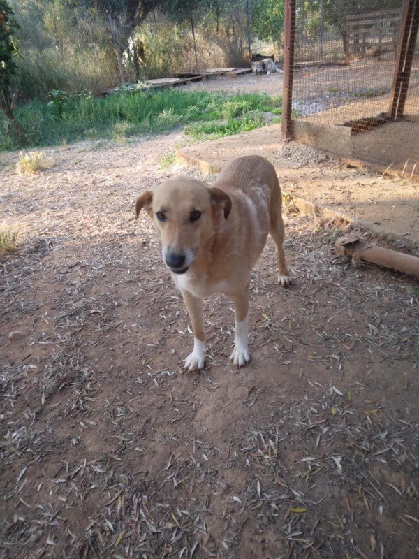Wilbur