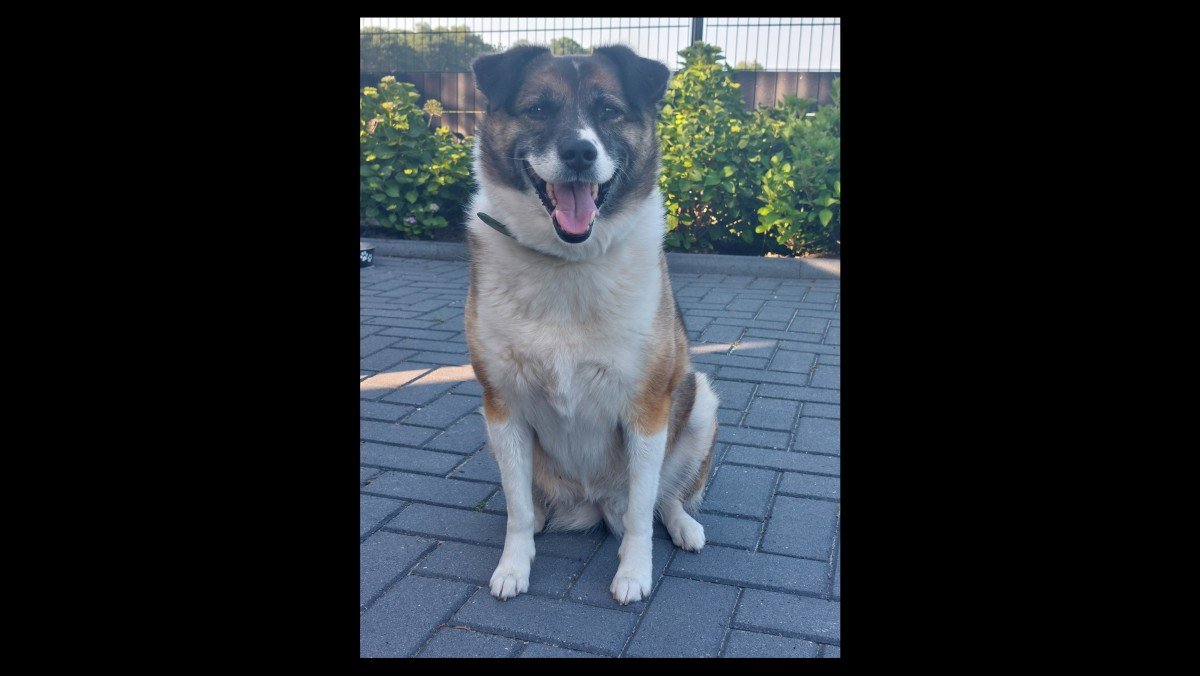 Floortje
