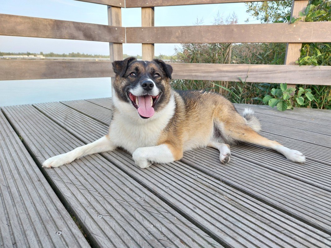 Floortje