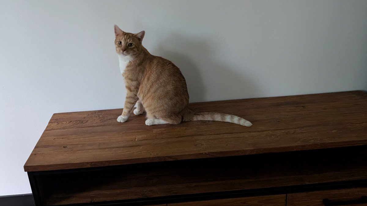 Pixel