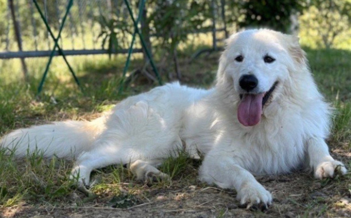 Zeus