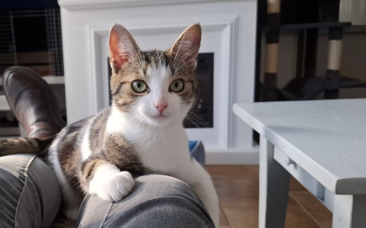 Boris