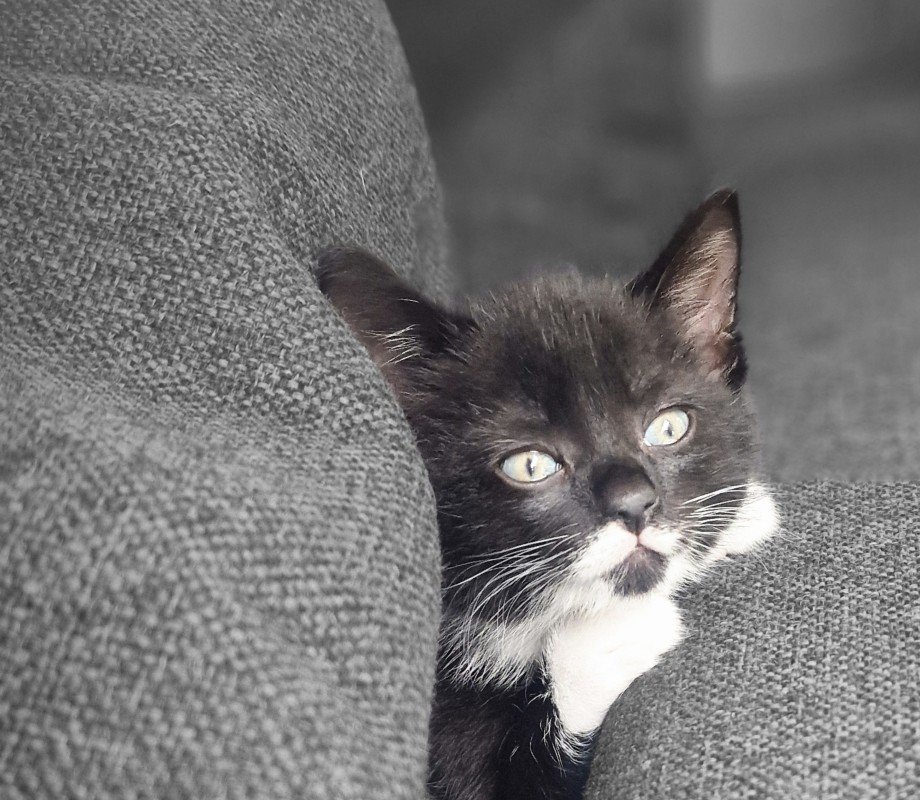 Zoë 🩷