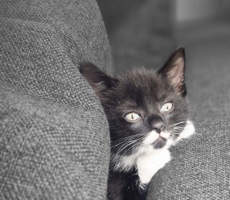 Zoë 🩷