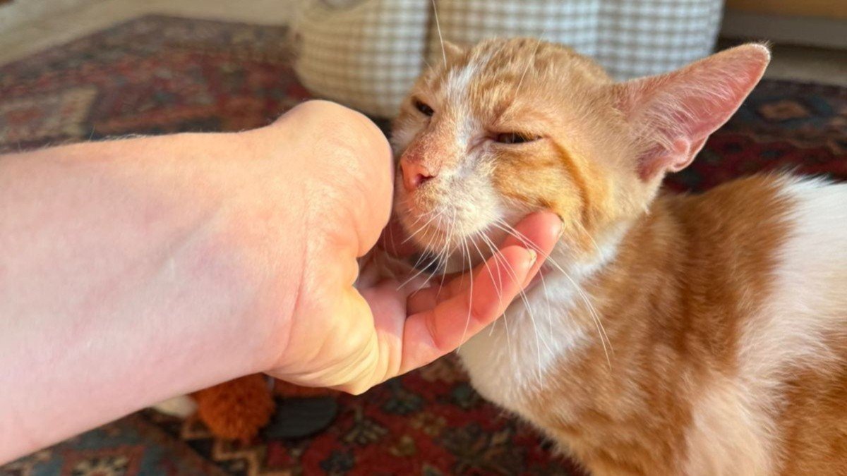 Panagiotis