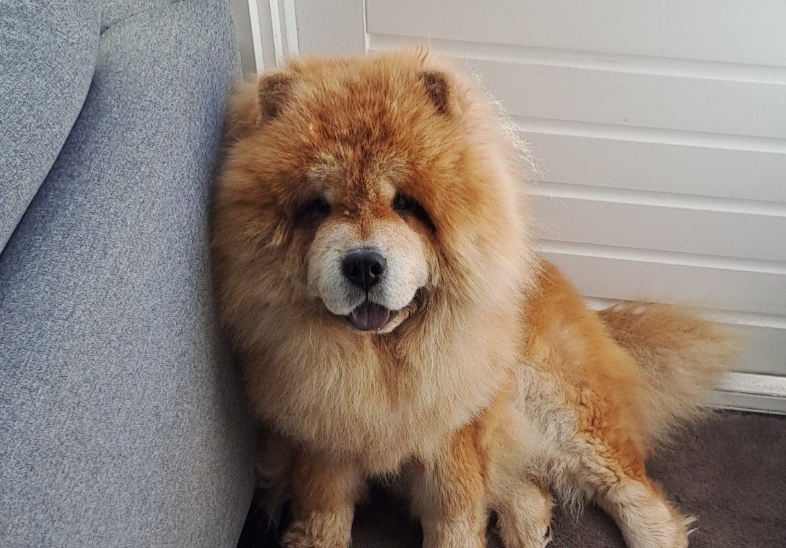 Milo