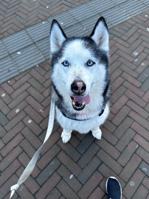 Skye