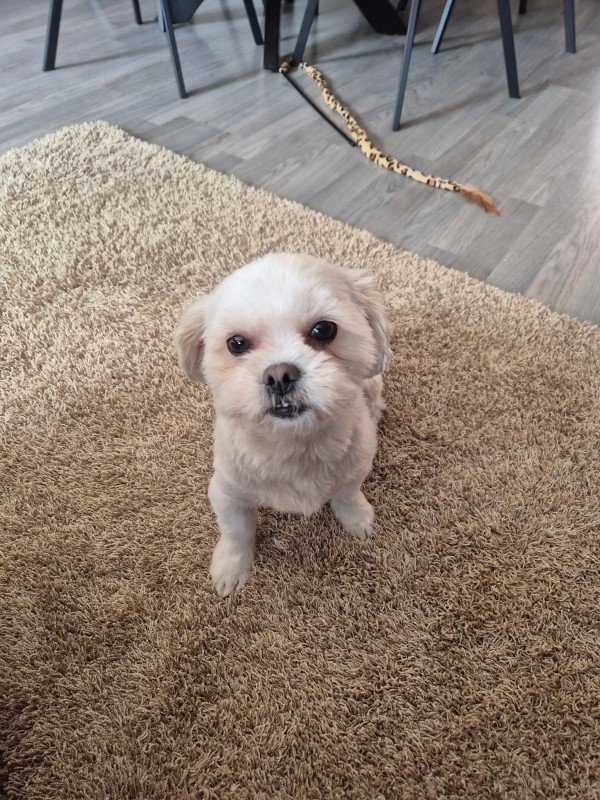 Bailey