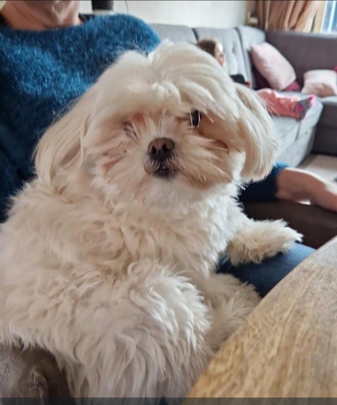 Bailey