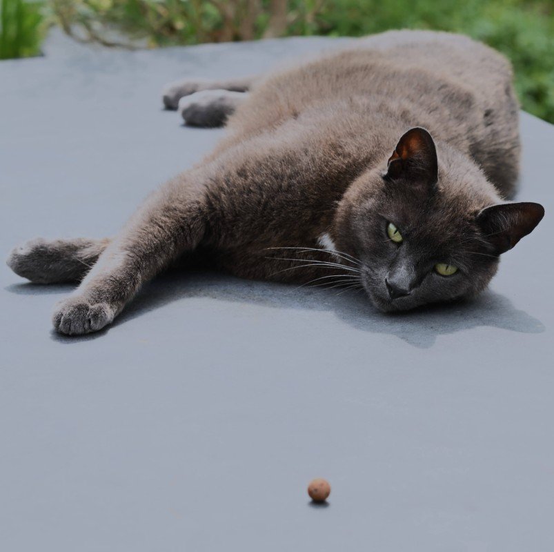 Smokey
