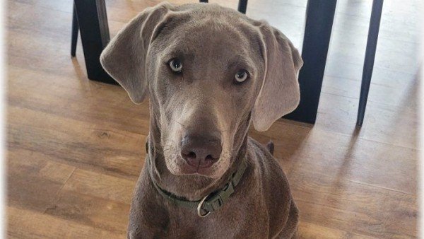 Sam