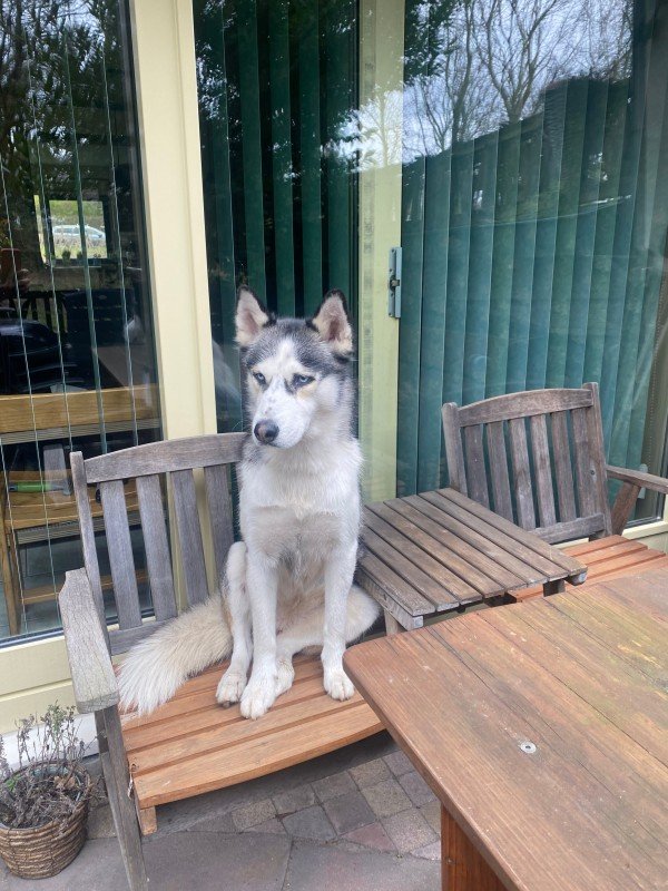 Yuki