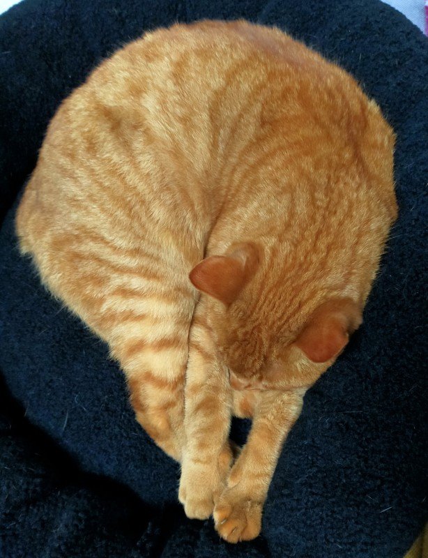 Barry