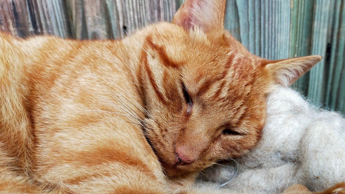 Barry