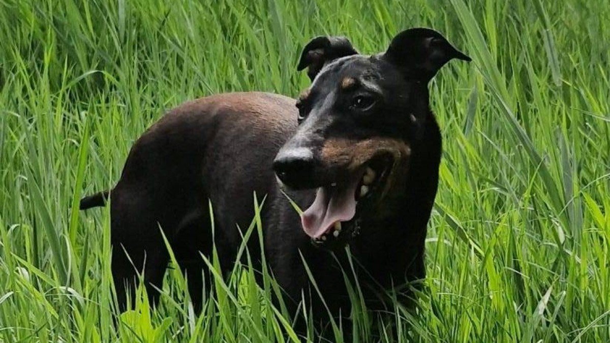 Charlie