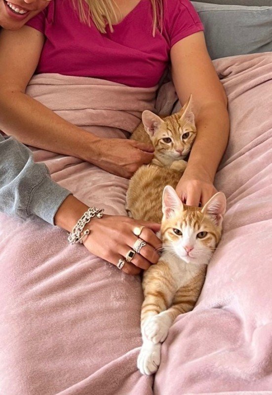 Simba