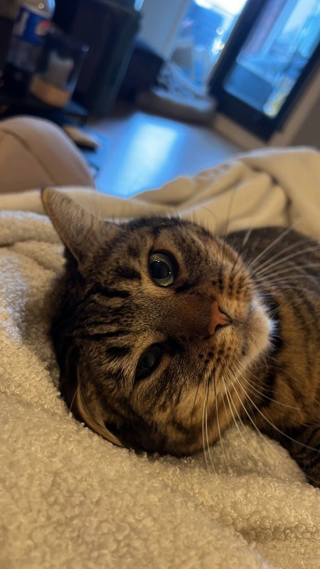 Binkie