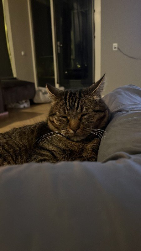 Binkie