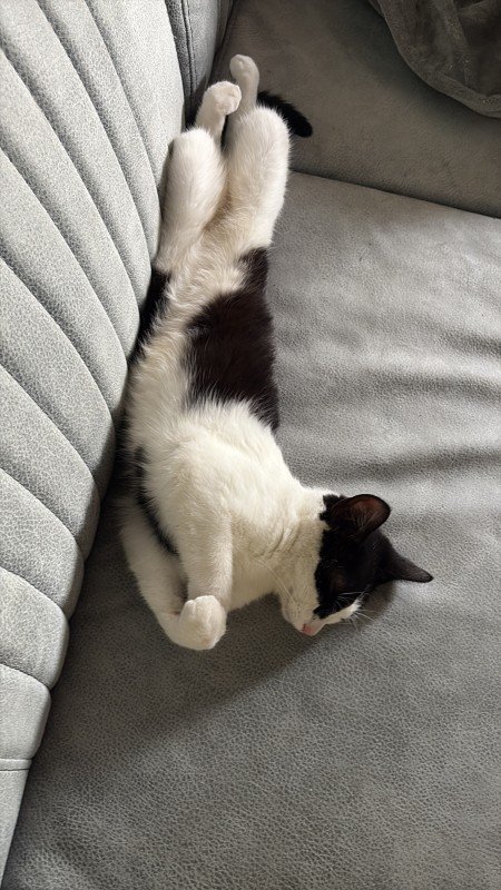 Marley