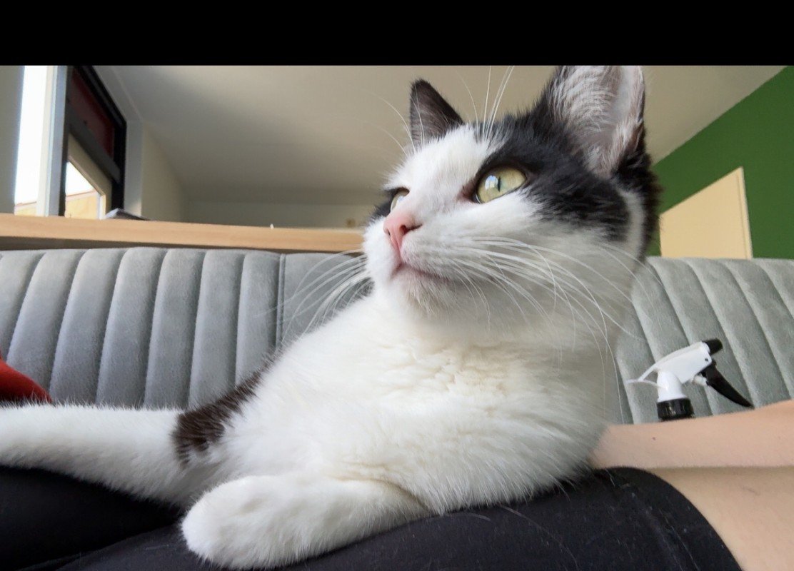Mia