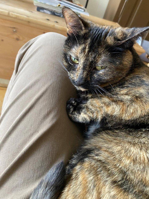 Bella