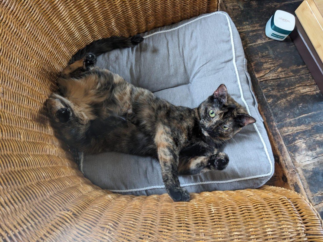 Bella