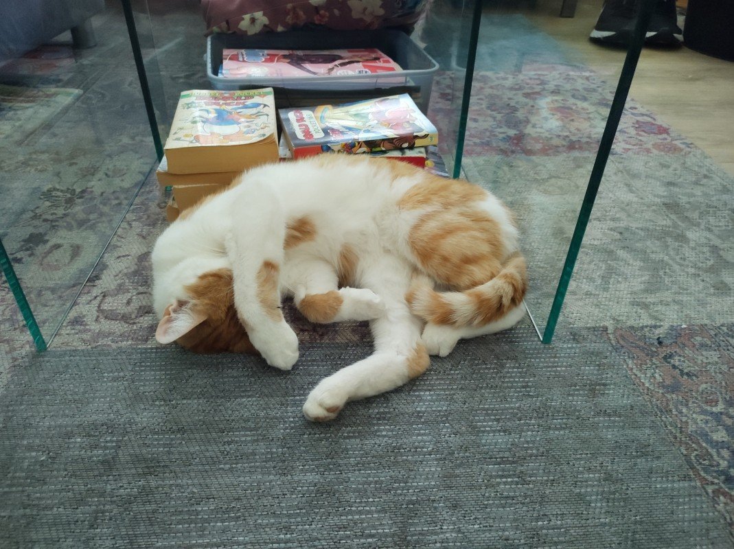 Mia