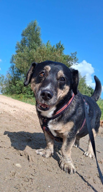 Max