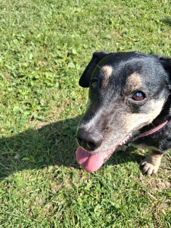 Max