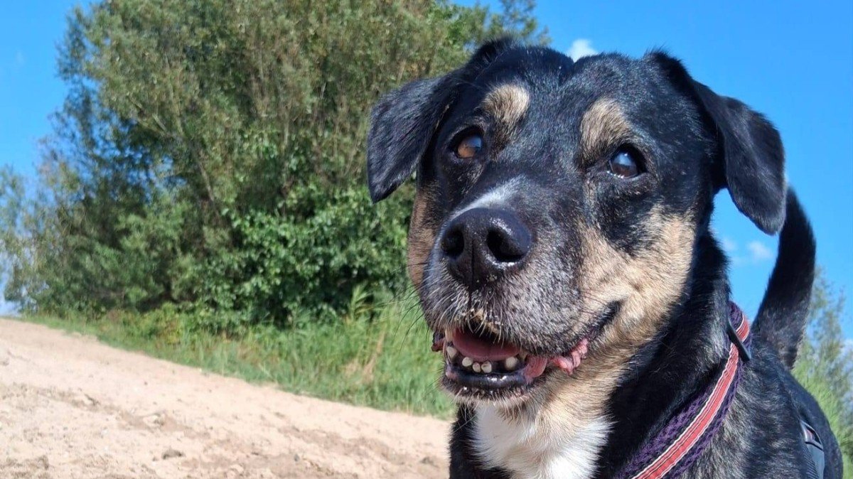 Max