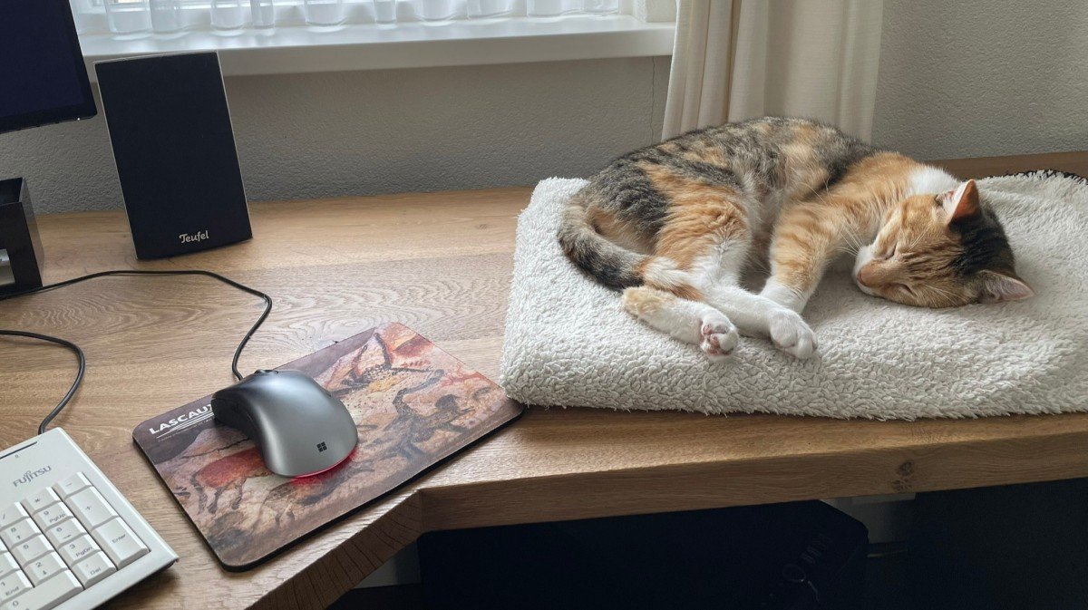 Pepper