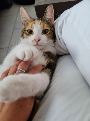 Macy