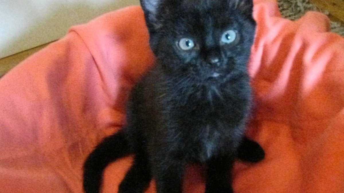 Mika