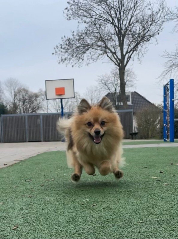 Takkie
